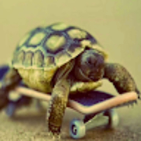 Meet your Posher, Jordyn - Picture 1 of 1